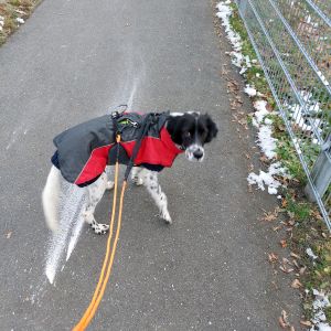 Unser erster gemeinsamer Spaziergang